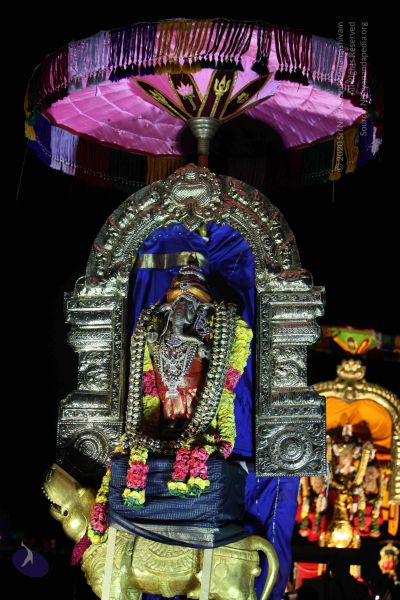 File:20151121 Photo 1437 171zIefeaKs07xXuzAZLoSblV8BXdM5oI.JPG