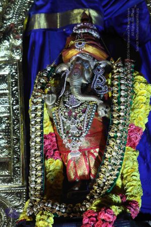 20151121 Photo 1438 17aNdO7mNL5H9gDYTxT7i35mARoYBFBid.JPG