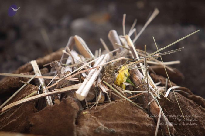 20151122 Photo 1011 1QD10W68Xg7Z3rmh8UvJu-WXZD-fLb1WZ.JPG