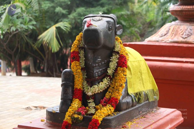 20151122 Photo 1016 1L pDmqTGY8y0yZEn-SgftQWVSR2iBwiQ.JPG