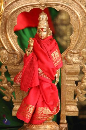 20151122 Photo 1029 1BB6bzCviVlbyv8Br7q-BbNbQ05fj vA8.JPG