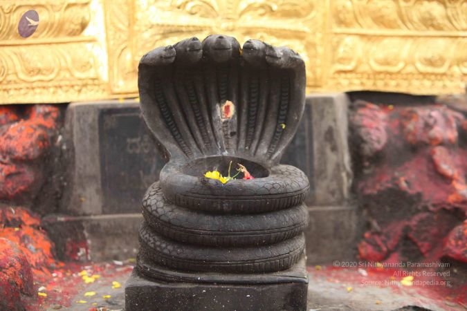 20151122 Photo 1035 1Cq9fW5KSUMhfSnNjZr0AzVl7RKvzIcaV.JPG