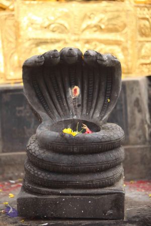 20151122 Photo 1036 126AZWeZQ77wZ3RBt3ypnlAH1ahciatMP.JPG