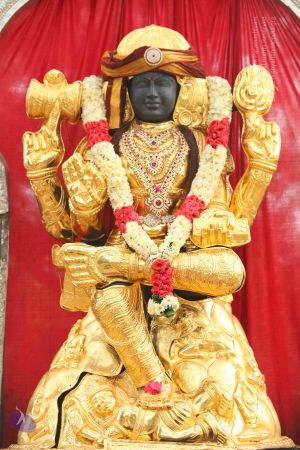 20151122 Photo 1038 1VDOClPW6d7fut9GTyshzFcYR9Hl0lsOj.JPG