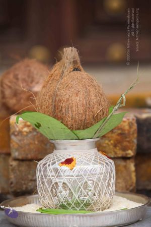 20151122 Photo 1405 1e8oUxSzgyxE6lFtvh0WKmXVqS7ie80Wv.JPG