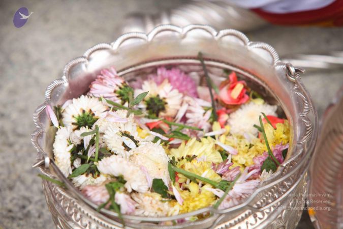 20151122 Photo 1408 1rjvV7P6YueZDG0LES tYg4Vc30uWpiI6.JPG