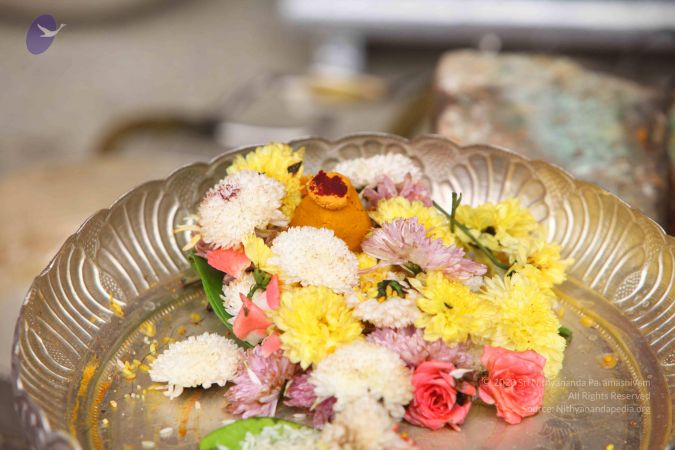 20151122 Photo 1409 1kUie4eRN CoFNTnlyG7jXMuX3bdbKEjD.JPG