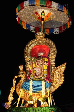 20151122 Photo 1759 1a7zyZaiGWQBOcJwI0YL2MrnEbvvOhvU6.JPG