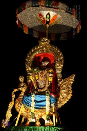 20151122 Photo 1760 12215TRWPf xbCfgwXIpeYIEQdMdezVf3.JPG