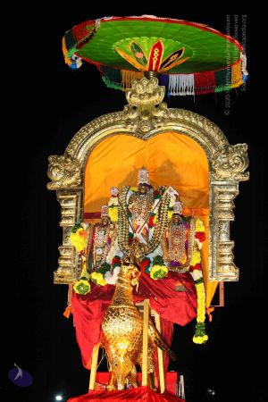 20151122 Photo 1762 1EWamrTKbM7IhoJAttTHEi0zadVicdFSY.JPG