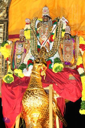 20151122 Photo 1763 1c5lN78dPUMVmXKP d5EYnxFBEOANCVue.JPG