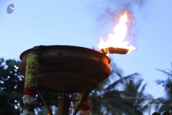 20151125 Photo 1041 19gYj6hrpLcpcb7DUjhC3tHU6rX4OIlBM.JPG