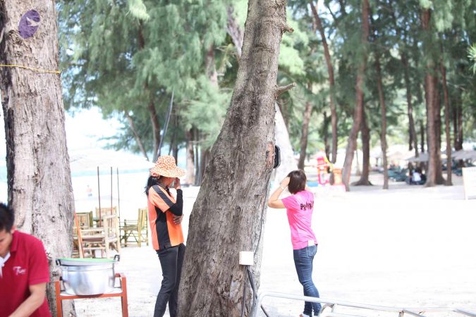 20151206 Photo 1010 1gDf-b4GuvdB6mwS1hmEDhU-vWiKBFTjV.JPG