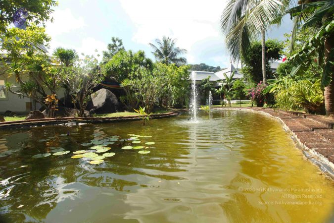 20151211 Photo 1288 1eKHFGn5jXQXBdG88Sk-5gJmT5bktVfzZ.JPG