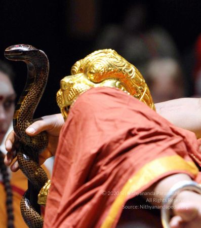 20151218IMG 4867 CMP WM01000.jpg