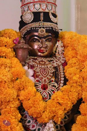 20151223 Photo 1005 1mMPVedg1ciIC19GjXTPYQ3g9UAkMGy6p.JPG