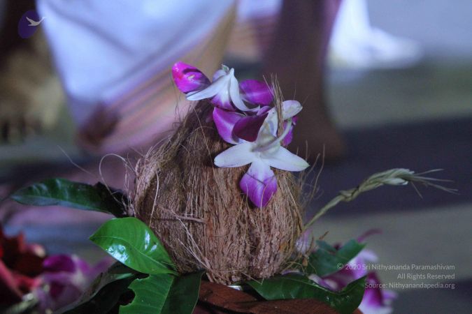 20151223 Photo 1462 1zMcPbclWtFCpOBXdCoQuO7rx59qz-I7G.JPG