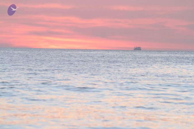 20151225 Photo 1158 1o-9r1zO9vXO7QZ Z81pZmW2Pxv5TIgMR.JPG