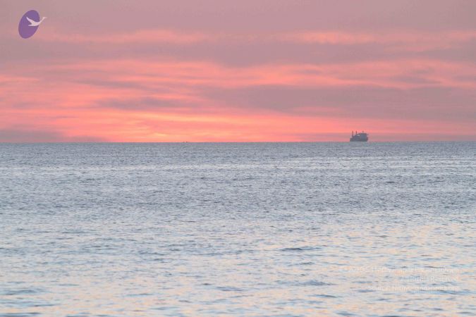 20151225 Photo 1162 19I7kV6rTqviV6OFdVydvV4CrLmg9ZlgF.JPG