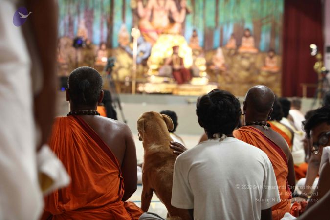 2016-08aug-04 9006 CMP WM.jpg