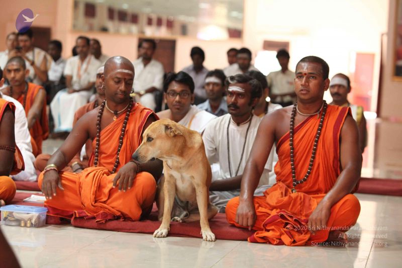 File:2016-08aug-04 9011 CMP WM.jpg