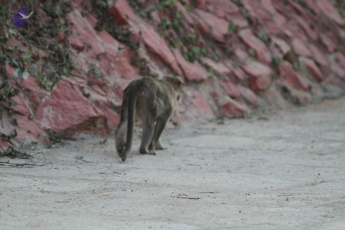 20160101 Photo 1036 1K5GQsv5jpslg4du-Fc1Xn9XIpckgLUJ-.JPG