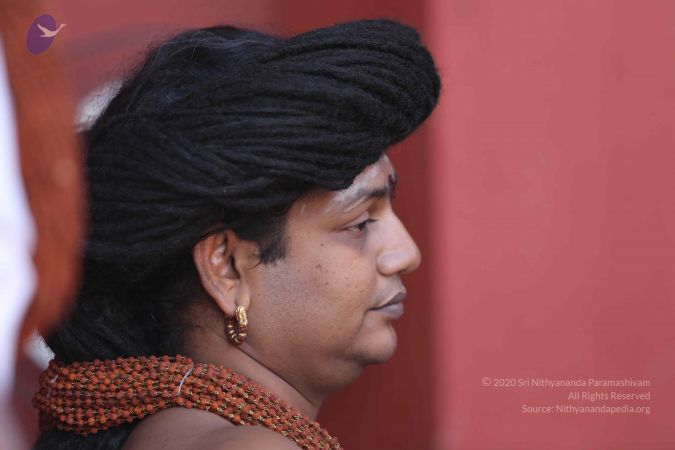 20160102 Photo 1204 1eW7Cbw2iPjsUldHLsEaVpqO13JgS8jVC.JPG