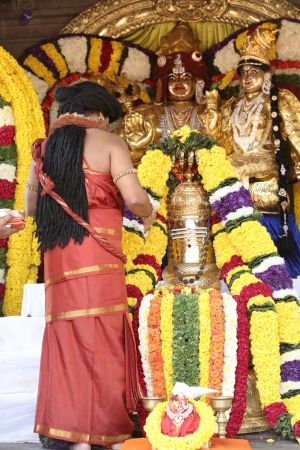 20160103 5F0A0465-510001.jpg