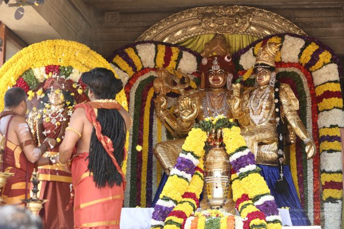 20160103 5F0A0489-750001.jpg