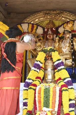 20160103 5F0A0493-790001.jpg