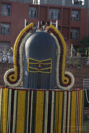 20160103 5F0A1433-30001.jpg