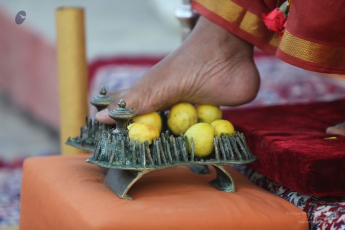 20160103 5F0A1491-21001.jpg