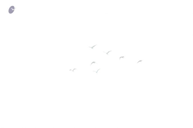 20160103 5F0A1539-41001.jpg