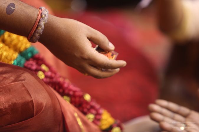 20160103 5F0A1718-115001.jpg