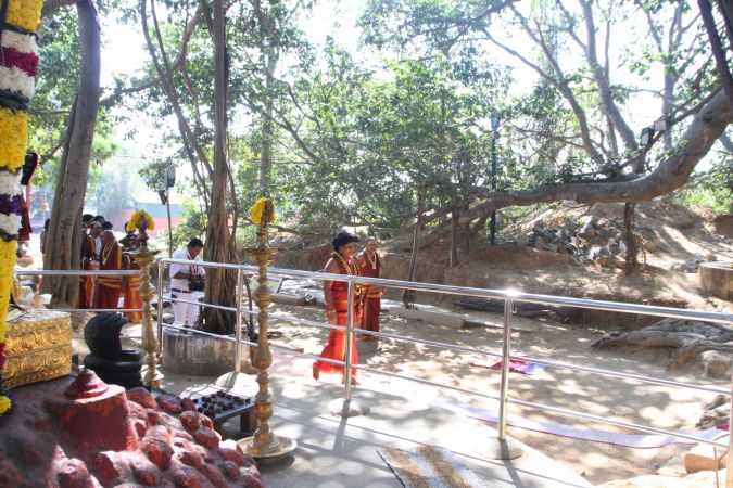 20160103 IMG 9508-2780001.jpg