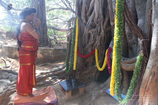 20160103 IMG 9521-2890001.jpg