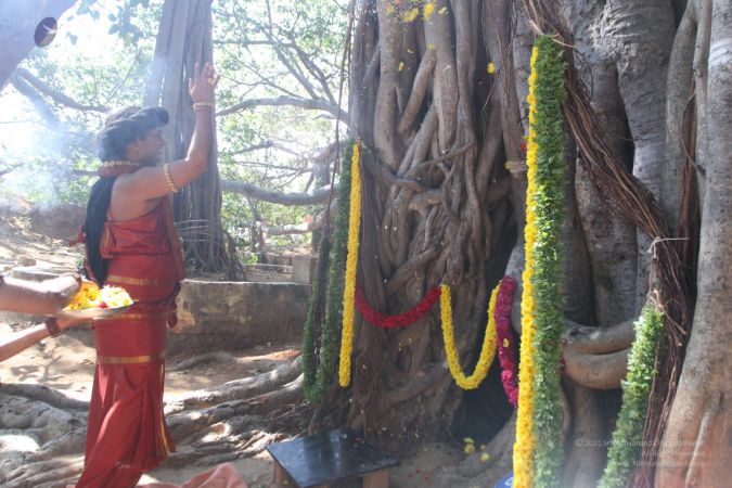 20160103 IMG 9529-2970001.jpg