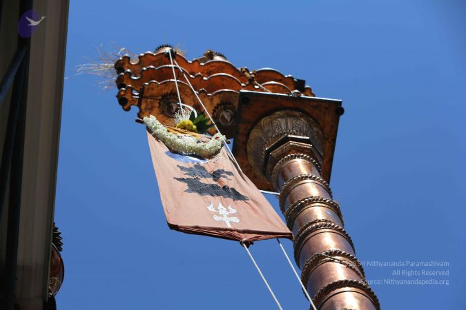 20160111 Photo 1075 1wMAZOH4DhMpnZ2JxxKn29Jx rQzxu4GL.JPG