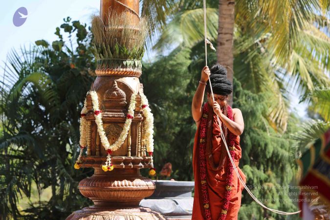 20160111 Photo 1082 1OkY5PjeXPQ0bSBBBmdhfU7HRTzSTT68T.JPG