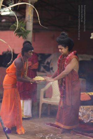 20160116 Photo 1402 1suyDggdEA-bK9peKD4dN3vyOYDVCIxsh.JPG