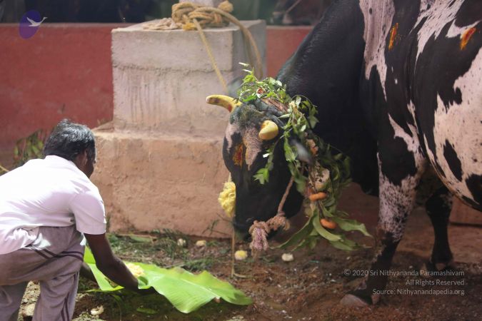 20160116 Photo 1406 1mKImJUwRZILMIOK3XU3nrL6 jgZSe0cs.JPG