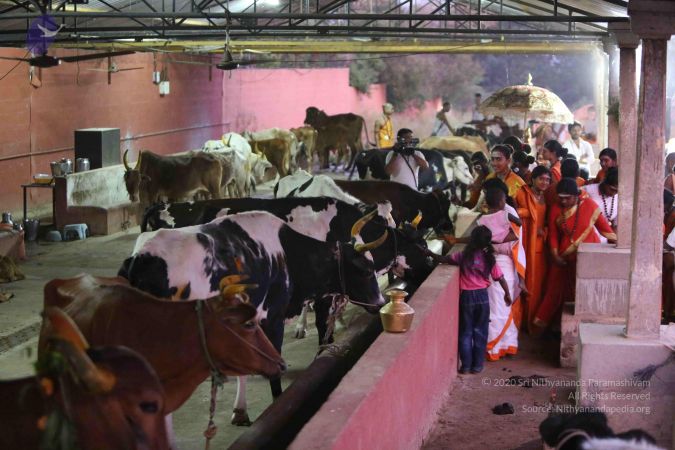 20160116 Photo 1430 1R5gyHgLof01N9AaX85VSUiOJLQwoFkD1.JPG