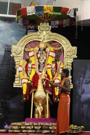 20160124 Photo 1009 1OBwMc ordkeGtXMOCRAR74gwCsM2imt9.JPG