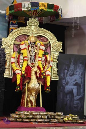 20160124 Photo 1010 1Sn0nTQQ2mbAxqk9lSCF-ZLTpsXZzs71H.JPG