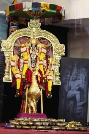 20160124 Photo 1011 1PxSZHr Tdtqj7FqhLwtz1Q5XzUfOwQ1R.JPG