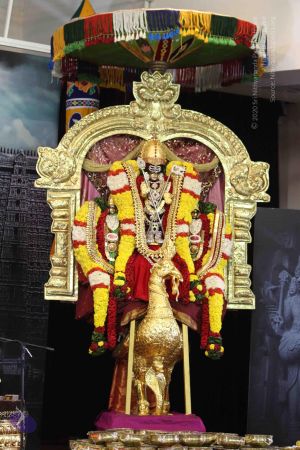 20160124 Photo 1012 10iaeqCva-cej7QTgAAYL0C3YTJNhMoRJ.JPG