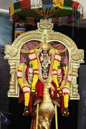 20160124 Photo 1014 1KXGn6qc6j5TwusQw5 DC2Ncx9ViXpSD1.JPG