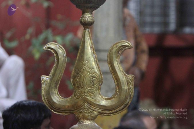 20160210 Photo 1290 1BgV9TRkhq43AbC62vep3DVtnd2p4fDKj.JPG