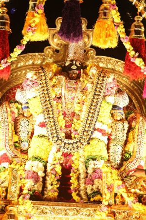 20160217 Photo 266 1458Fwu4CTuRRqDCRc2sBTwocRI9ZMQZy.jpg