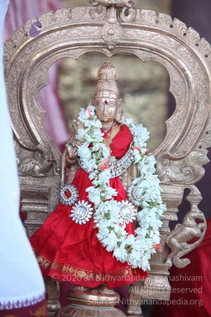 20160218 Photo 207 1mlQv3kbEZc4YOTTme9CfLe1OOiJbcpHY.jpg